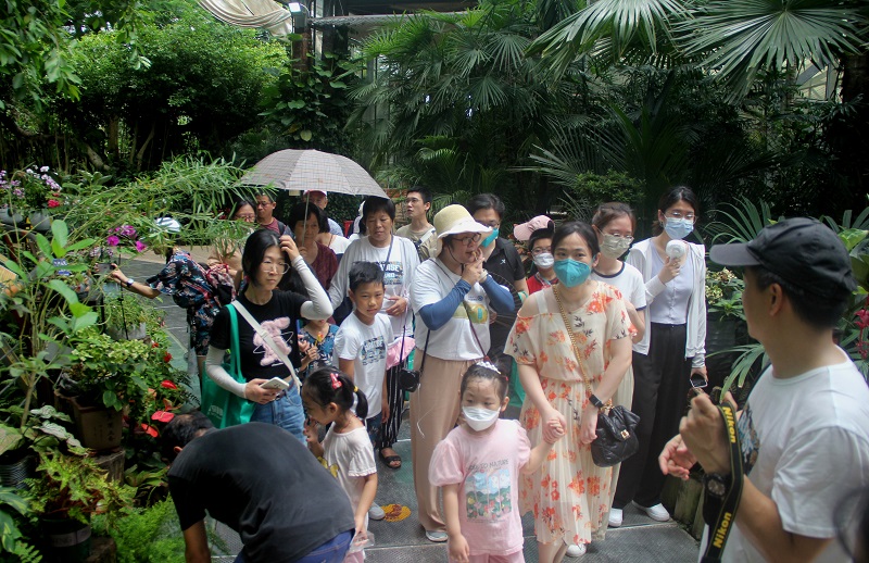 2.参观热带雨林植物室
